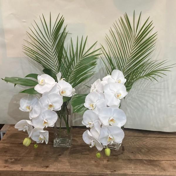 Vase orchidées